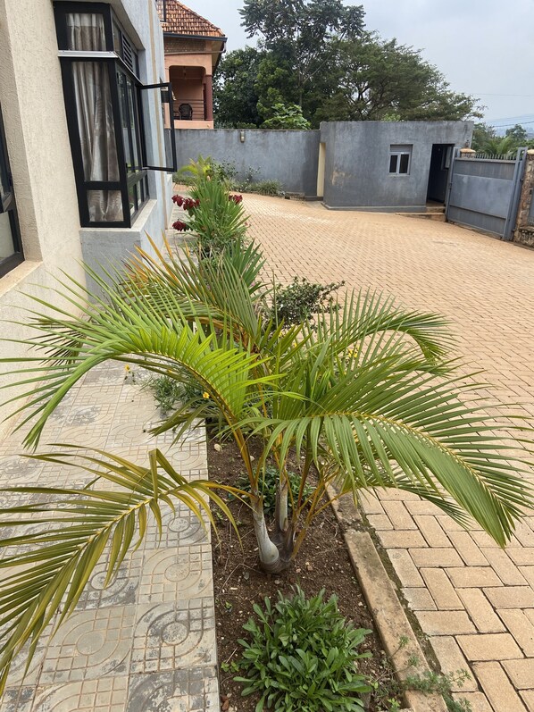 Exterior detail - Stay with Gertie in her cozy apartment in Kacyiru sector/US Embassy area (Kigali)