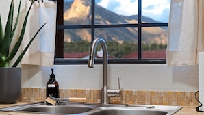 Una cocina con un lavamanos doble, una botella de jabón y una planta de aloe en maceta.