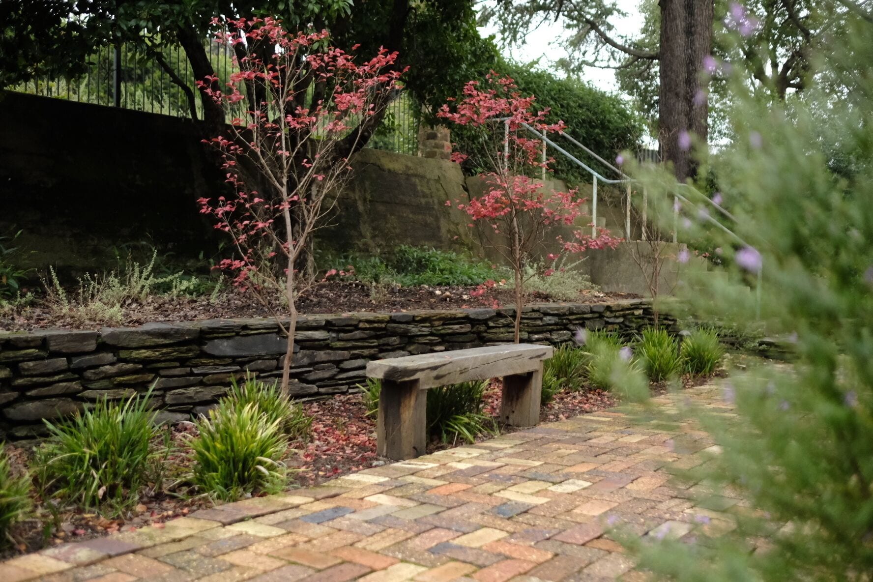 A stone wall with a bench and a pathway leading through a garden with various plants and trees.