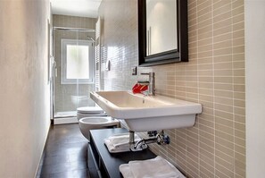 Shower, hair dryer, bidet, towels