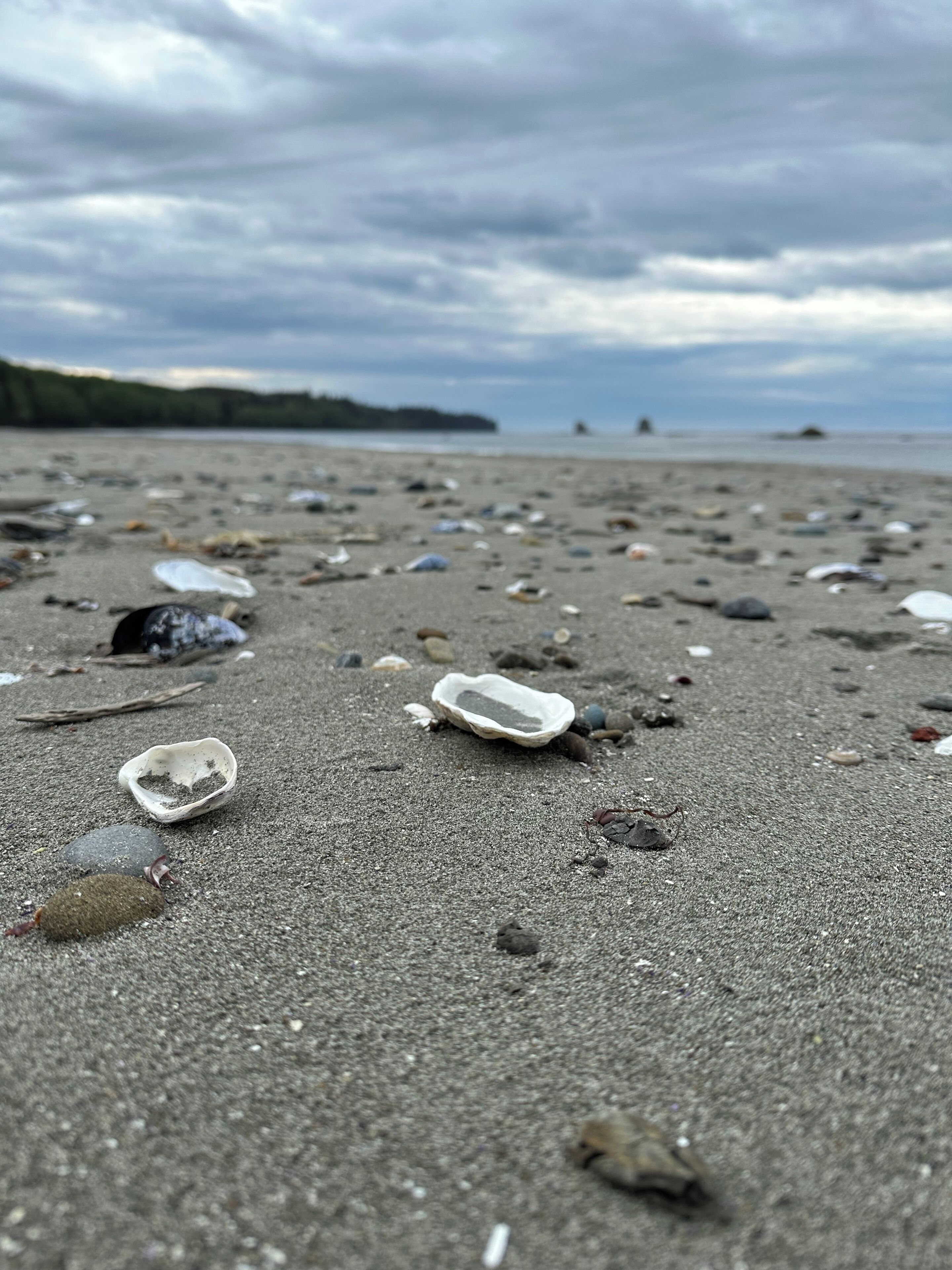 På stranden og solsenger