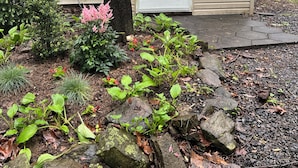A small, single-story building with a white door and windows, surrounded by a garden with various plants and rocks. - Peaceful retreat, 20 minutes from Gettysburg and close to the Appalachian Trail. (Aspers)