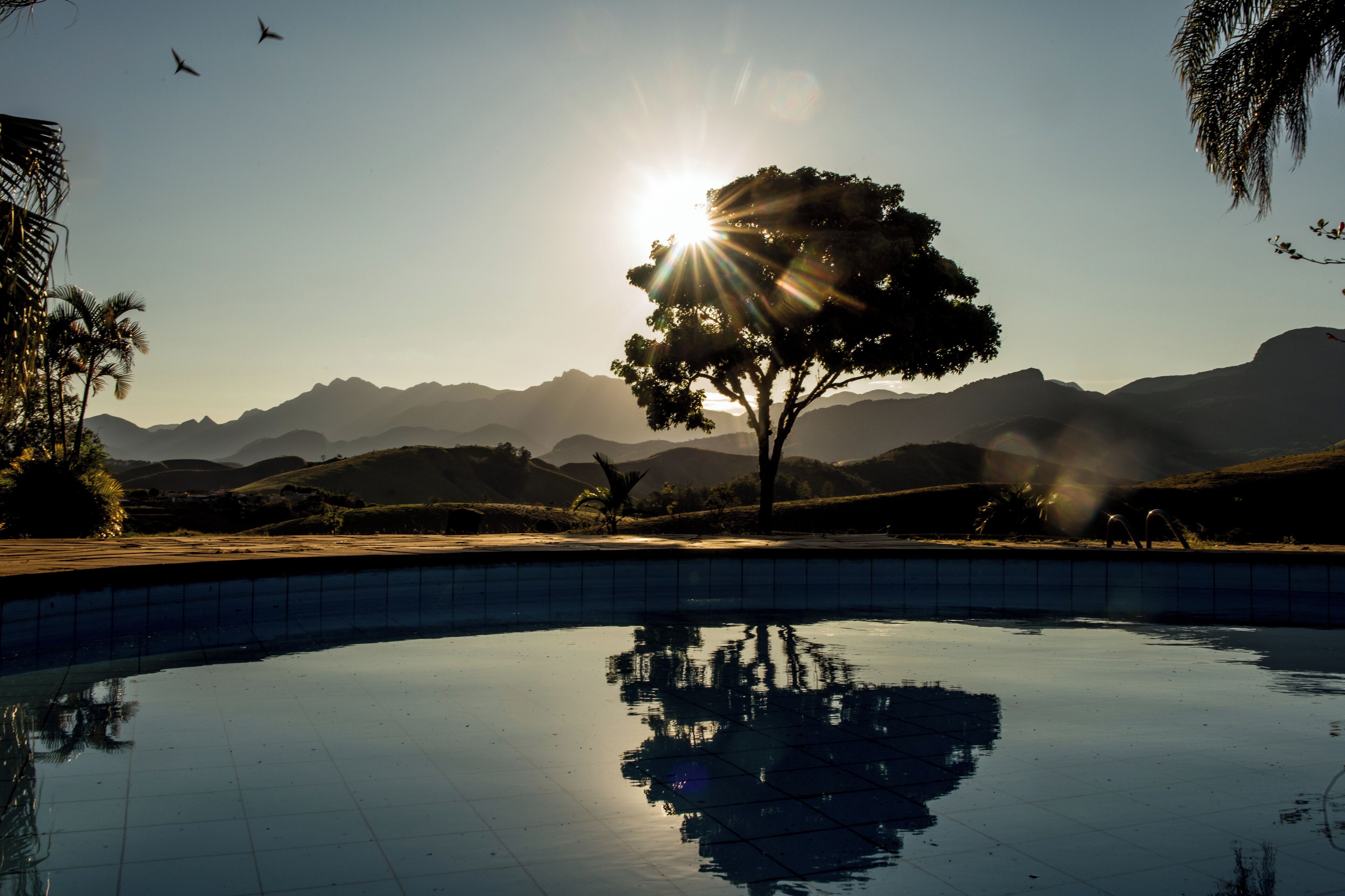 A swimming pool with a clear reflection of a tree and mountains in the background.