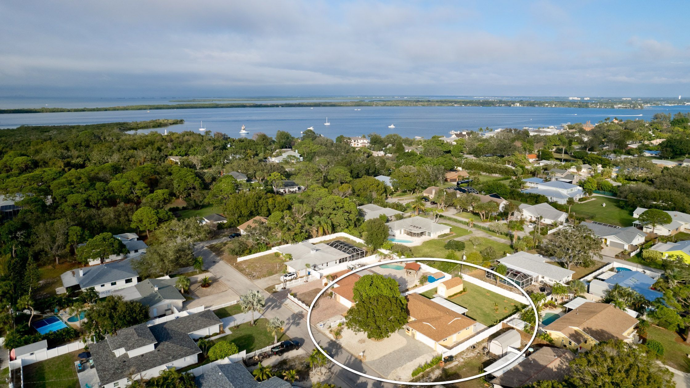 An aerial view of a residential area with houses, a large tree, and a body of water in the background.