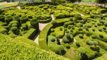 Jardines del alojamiento