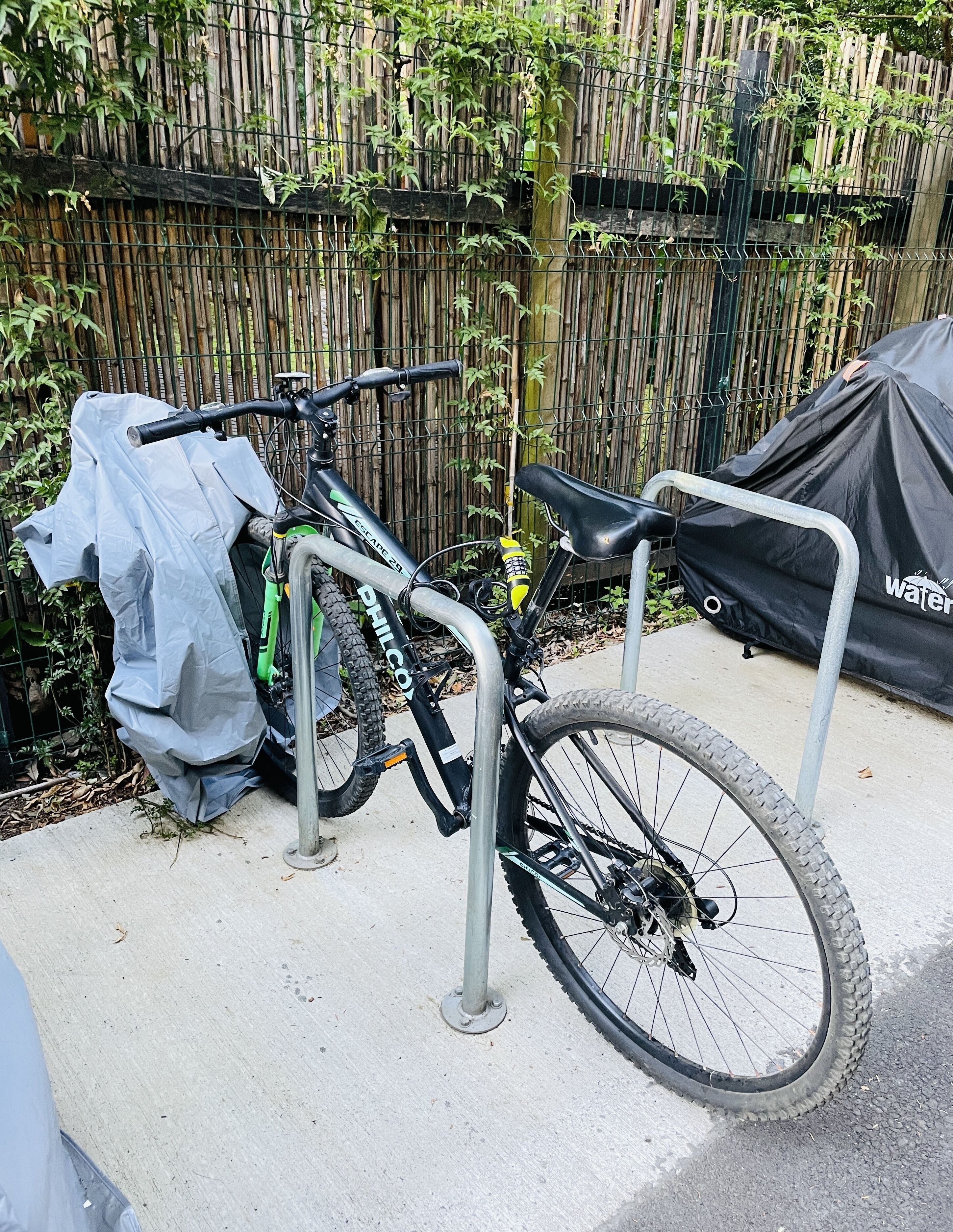 Un vélo attaché à un support métallique à l’extérieur, avec une clôture en bambou et une tente en arrière-plan.