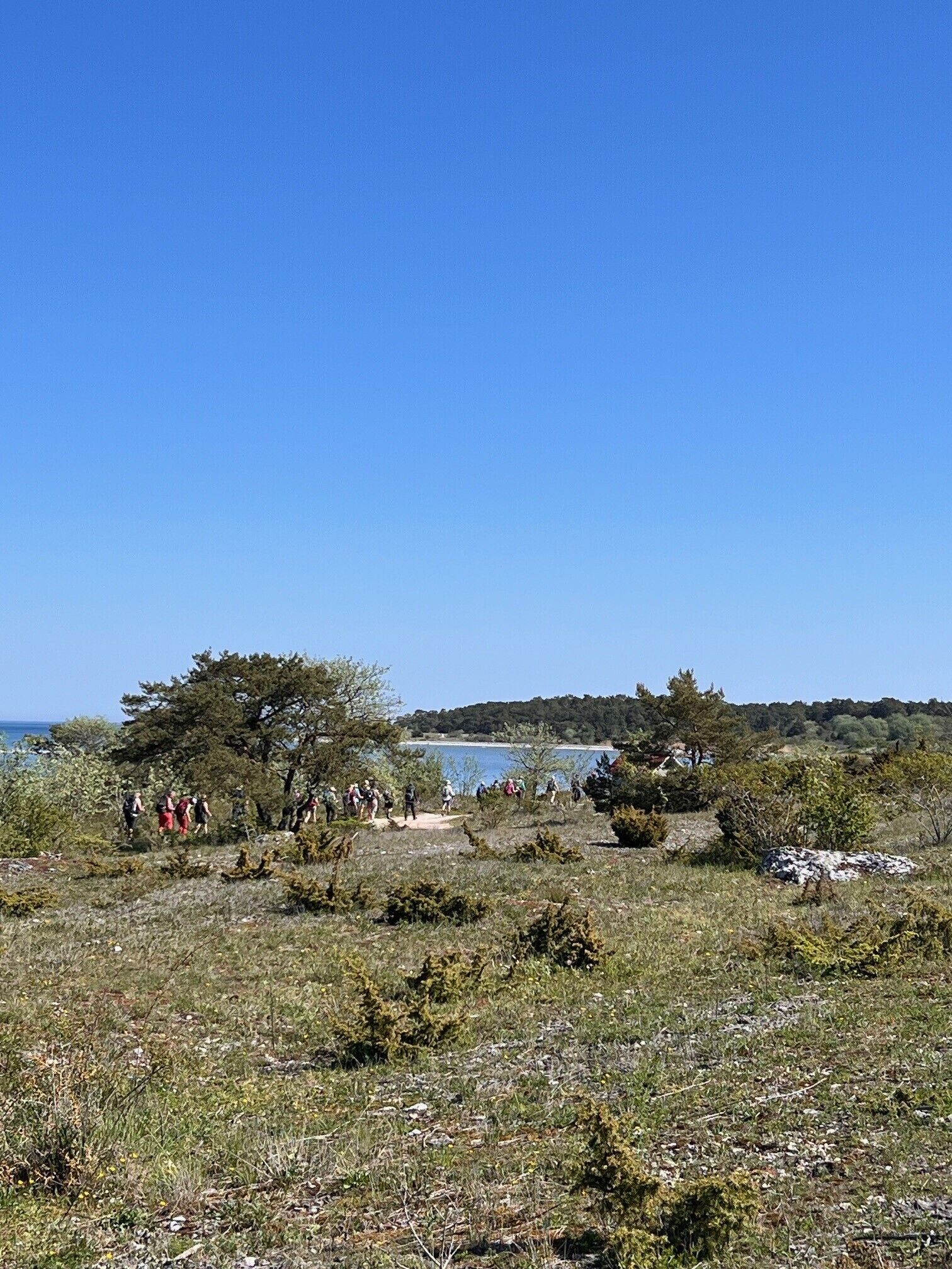 A natural landscape with a group of people walking on a dirt path.