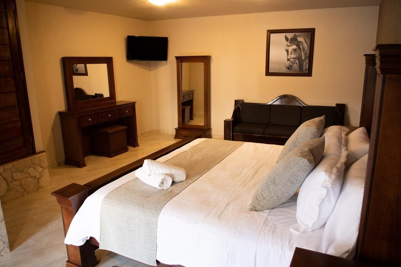 A hotel room with a large bed, a wooden dresser, a mirror, a television, and a framed picture on the wall.