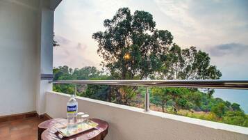 Premium Double Room | View from room