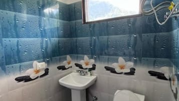 SĂšche-cheveux, serviettes fournies, savon, shampoing