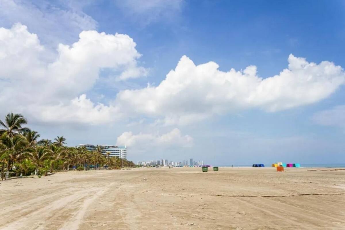 A beach with palm trees, a clear sky, and distant buildings.