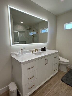 Shower, hair dryer, bidet, towels