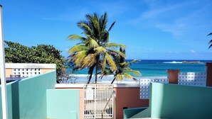 Vista de una playa con palmeras y un cielo azul despejado.