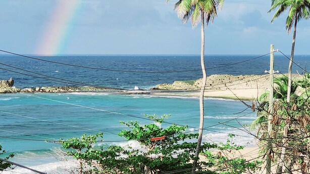 Una playa con palmeras, cielo despejado y un arcoíris visible.