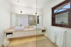 Shower, hair dryer, towels