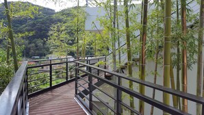 Pasarela de madera con barandillas metálicas rodeada de plantas de bambú.