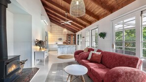 Televisión, chimenea y libros 