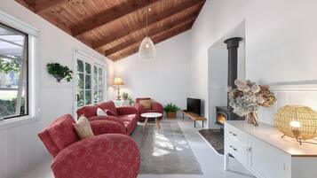 Télévision, cheminée, livres