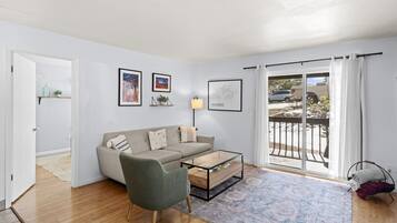 TV connectée, cheminée, lecteur de DVD, livres