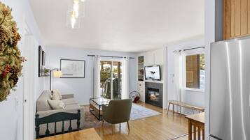 TV connectée, cheminée, lecteur de DVD, livres