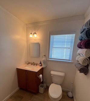 Regadera, secadora de cabello, papel de baño