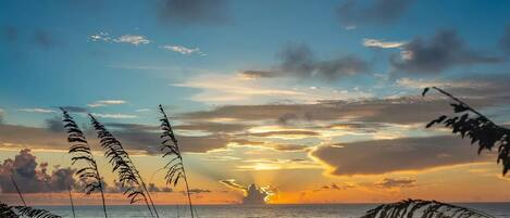 On the beach, sun-loungers, beach towels
