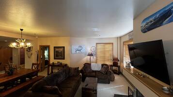 TV, fireplace, books