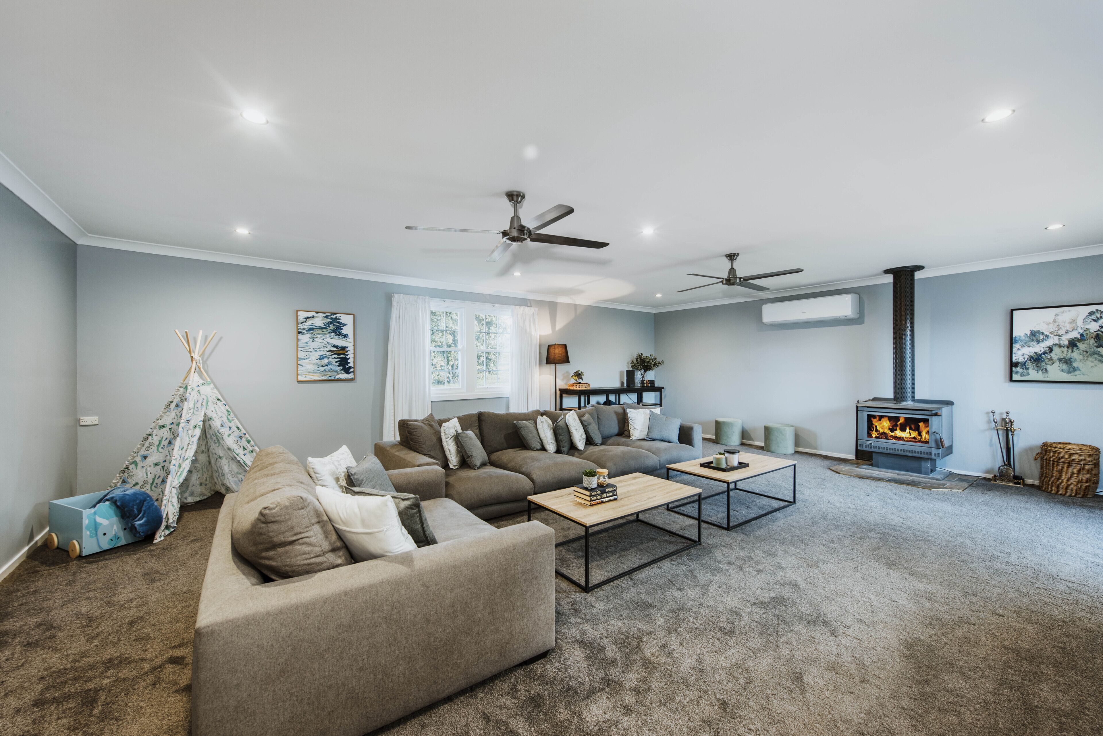 Smart TV, chimenea y libros 