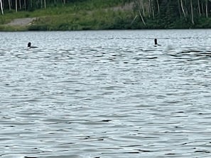 A lake with two people swimming.