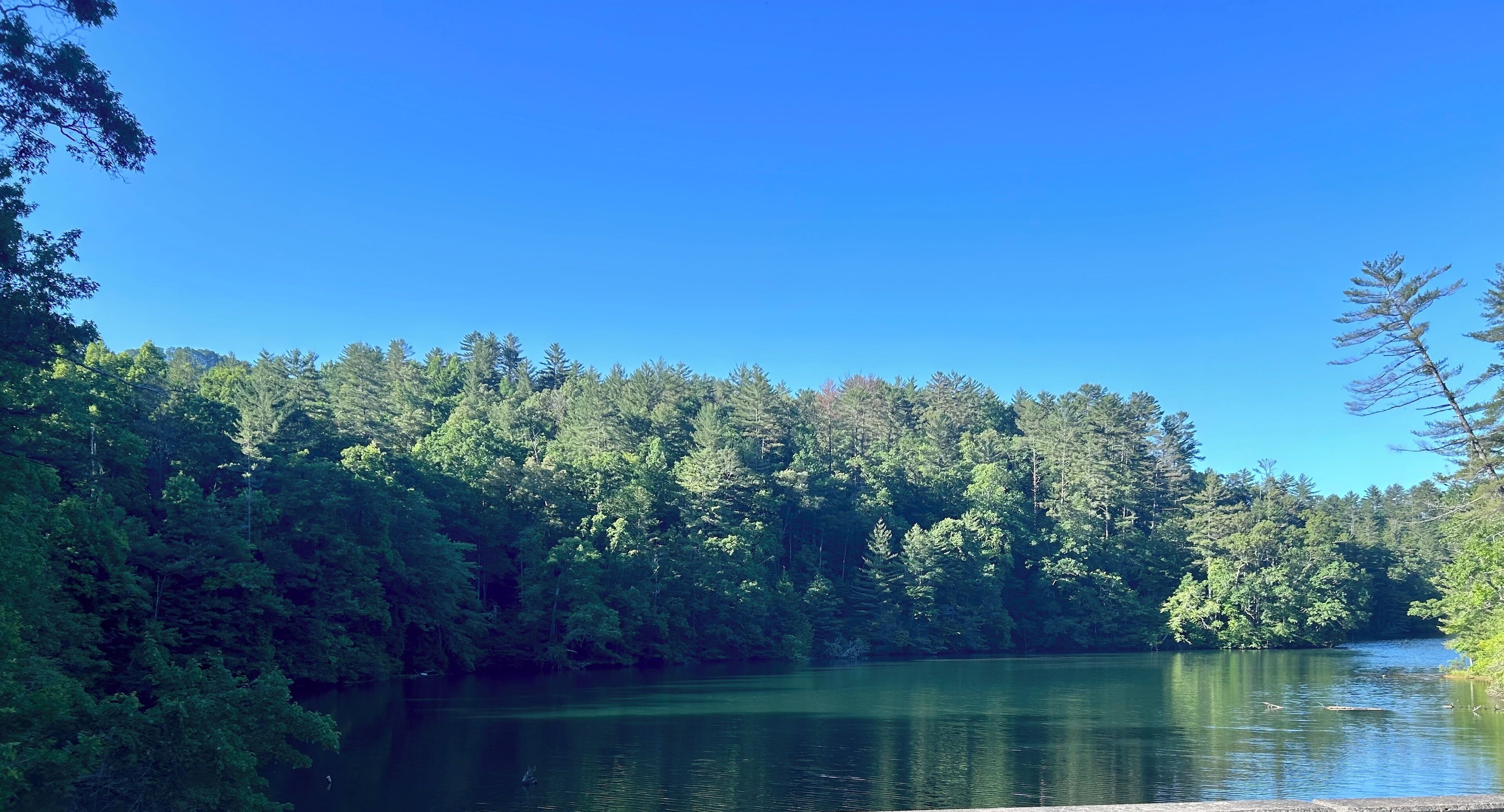 Minutes from Joyce Kilmer Forest and Cherohala
