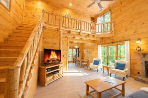 TV, fireplace, books