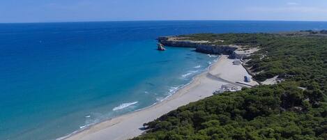 Playa