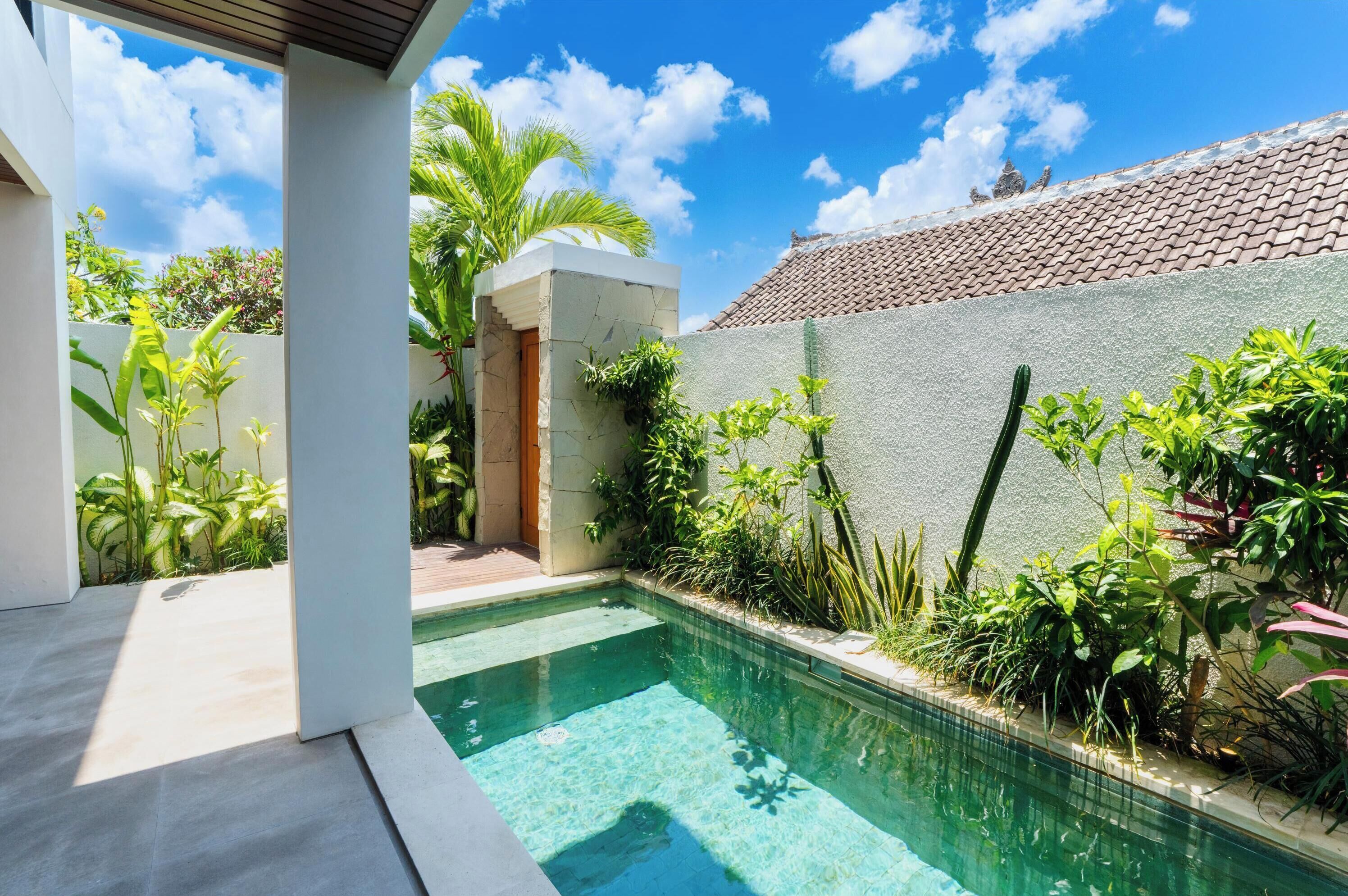 A swimming pool with clear water, surrounded by lush greenery and a white wall.