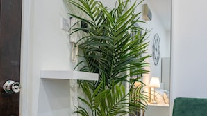 Une pièce avec un canapé vert, une plante en pot et un miroir qui reflète une lampe et une horloge murale.