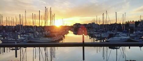 Marina