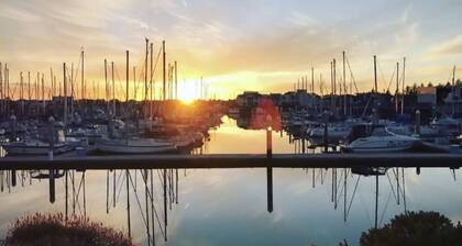 'The Aquarium' Waterfront Apartment