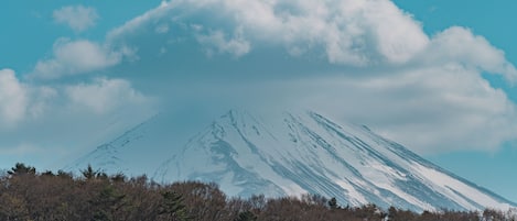 A snow-capped mountain with a forested foreground and a clear sky.