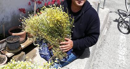 Apartments pertaining to country structure