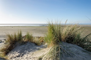 A beach with sand dunes and sparse vegetation.