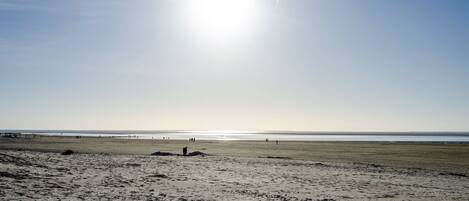 Nära stranden