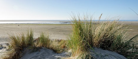 Nær stranden