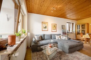 TV, DVD player, stereo - Apartment 'Casa Mia' with Private Terrace, Private Garden and Wi-Fi (Bad Dürkheim)