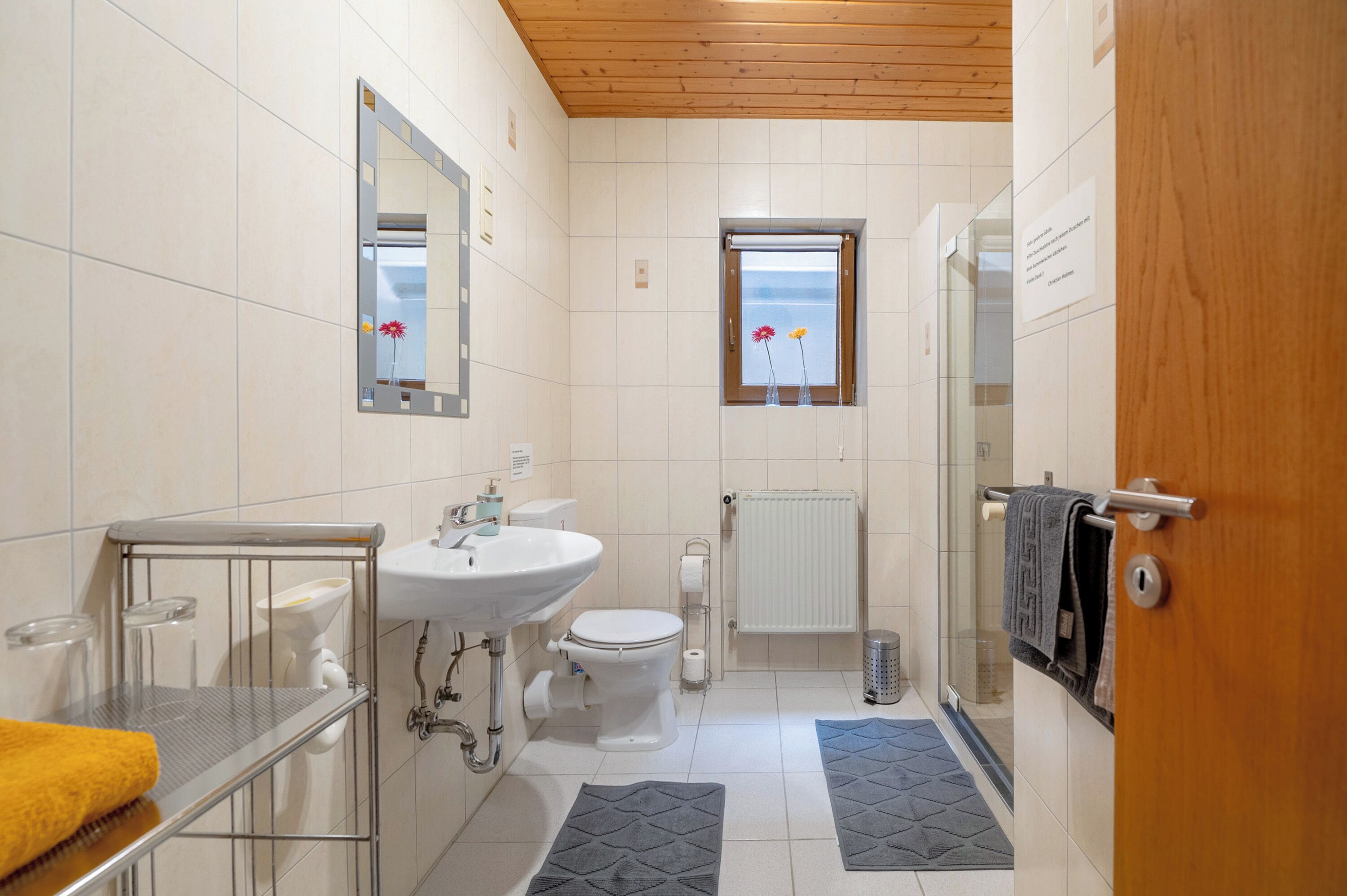 Dusche, Haartrockner, Handtücher