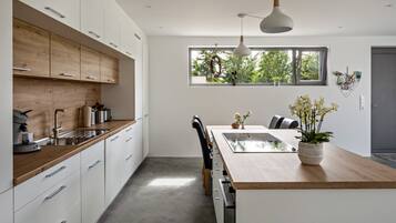 Fridge, oven, stovetop, dishwasher