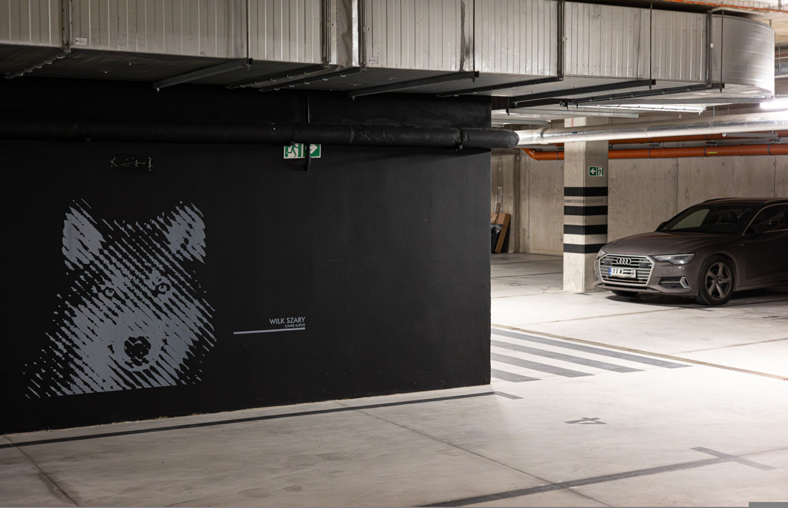 Un parking où l’on aperçoit une voiture et un mur orné d’une illustration de chien.