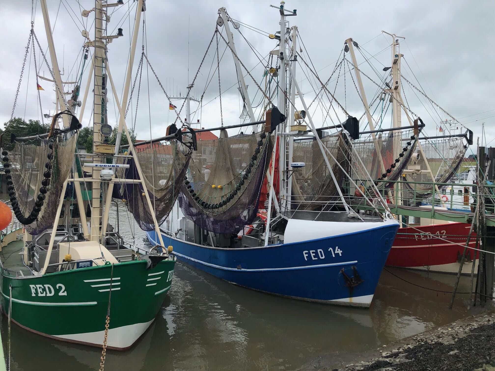 Varias embarcaciones de pesca amarradas en un puerto.