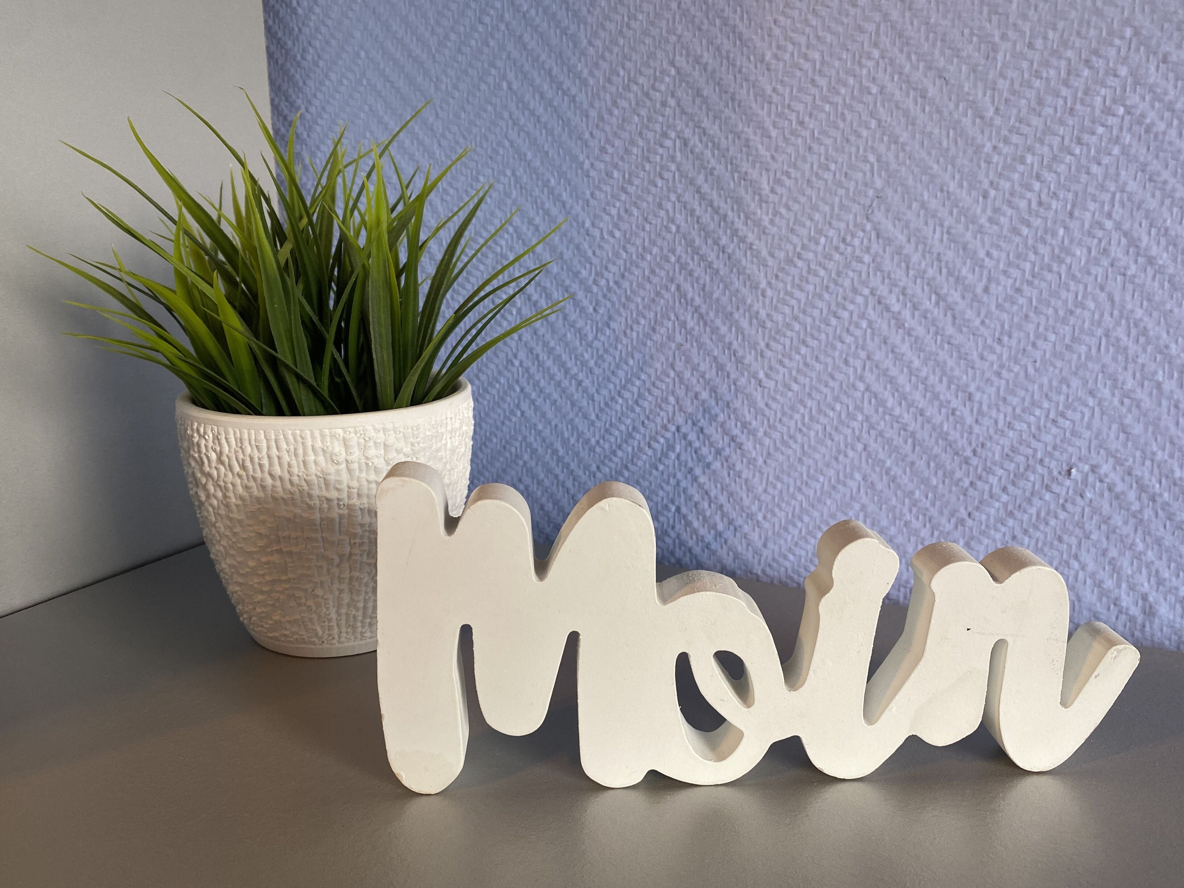 Ein Blumentopf und ein weißes dekoratives Schild mit dem Wort "Moor" auf einer grauen Oberfläche vor einer blauen Wand mit Struktur.