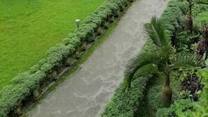 Ein gepflegter Garten mit einem gepflasterten Weg, ordentlich geschnittenen Hecken und einem Reetdachschirm.