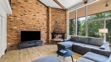 Smart TV, chimenea y libros