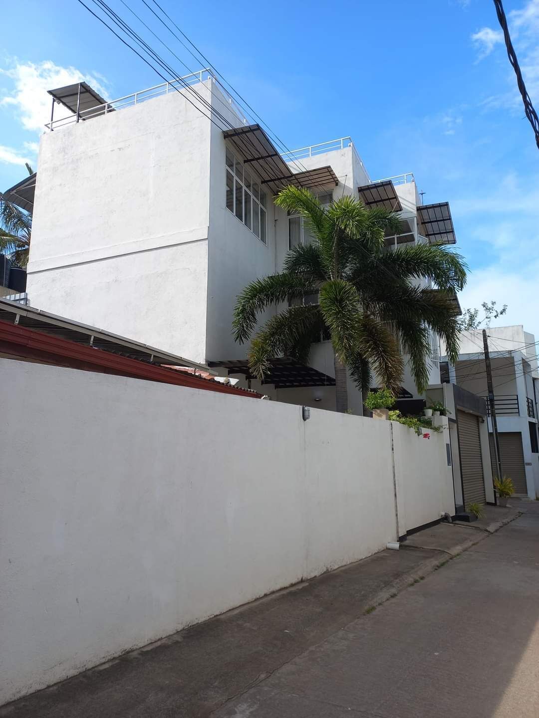 A modern building with a white facade, a palm tree in front, and a gated entrance.